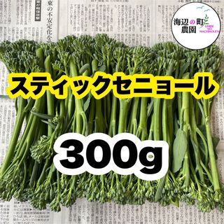 高知県産　茎ブロッコリー　スティックセニョール　野菜　農家直送！ Tgt(野菜)