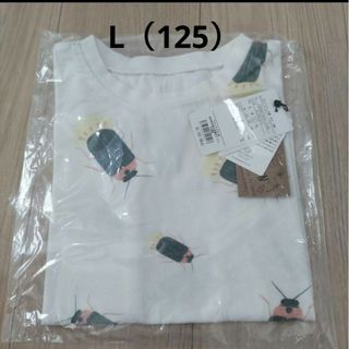 INSECT　COLLECTION - インセクトコレクション　半袖Tシャツ　ほたるさん　L　120 130