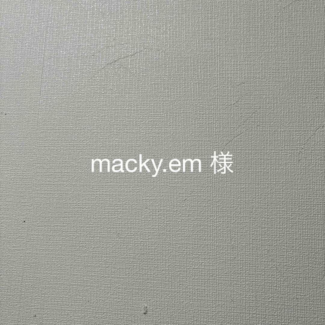 macky.em 様 ハンドメイドのアクセサリー(ピアス)の商品写真