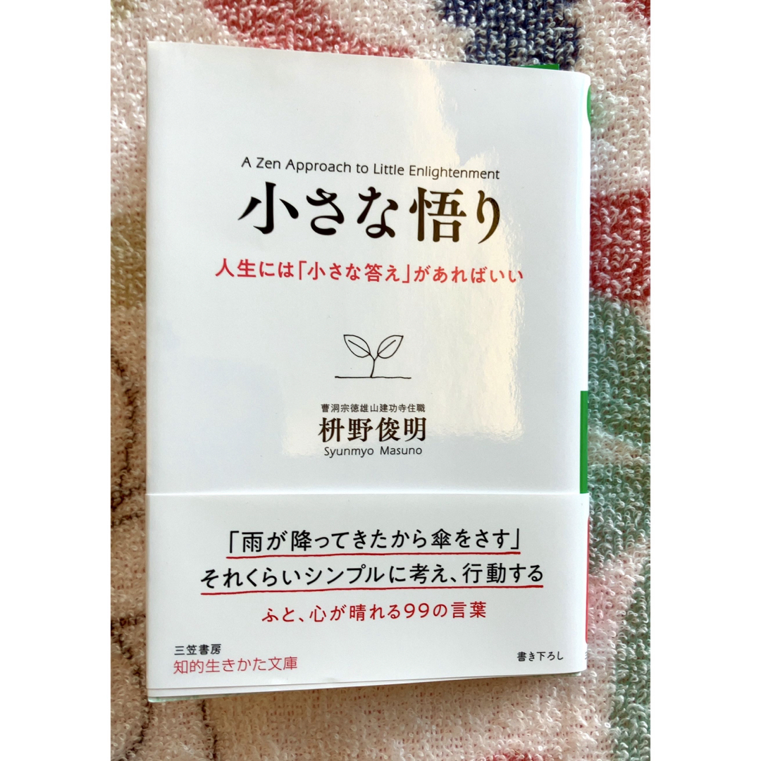 小さな悟り エンタメ/ホビーの本(その他)の商品写真