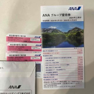 エーエヌエー(ゼンニッポンクウユ)(ANA(全日本空輸))の全日空　株主優待券　ANA 3枚(その他)