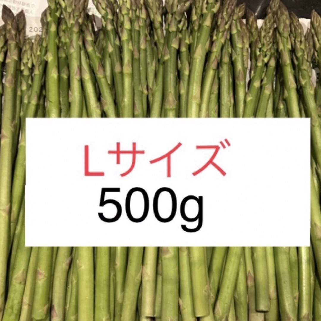 アスパラ　Lサイズ500g アスパラガス 食品/飲料/酒の食品(野菜)の商品写真