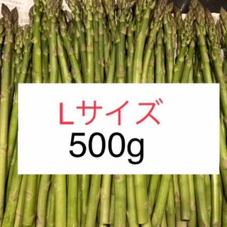 アスパラ　Lサイズ500g アスパラガス(野菜)