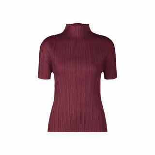 プリーツプリーズイッセイミヤケ(PLEATS PLEASE ISSEY MIYAKE)のPLEATS PLEASE ISSEY MIYAKEハイネック半袖シャツ(Tシャツ(半袖/袖なし))