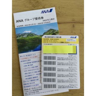 エーエヌエー(ゼンニッポンクウユ)(ANA(全日本空輸))の全日空（ANA)株主優待券(その他)