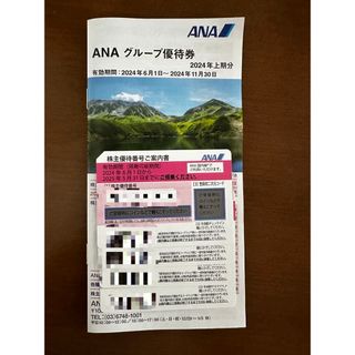 エーエヌエー(ゼンニッポンクウユ)(ANA(全日本空輸))のANA株主優待４枚（グループ優待券付き）(その他)