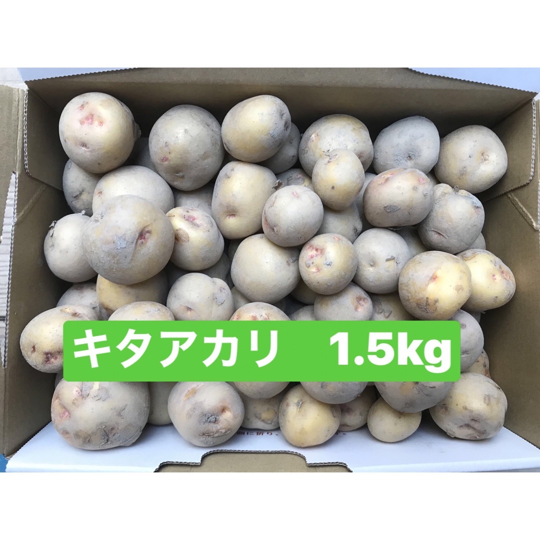 新じゃがいもキタアカリ　1.5kg   Sサイズ　徳島県産 食品/飲料/酒の食品(野菜)の商品写真