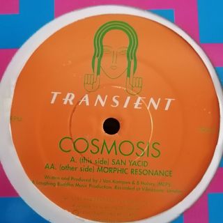 90s ゴアトランス 12 Cosmosis Morphic Resonance(その他)