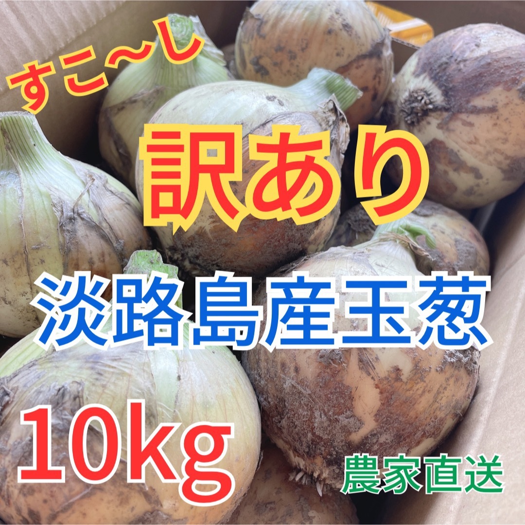 【淡路島産玉葱】新玉ねぎ 10kg 訳あり品 食品/飲料/酒の食品(野菜)の商品写真