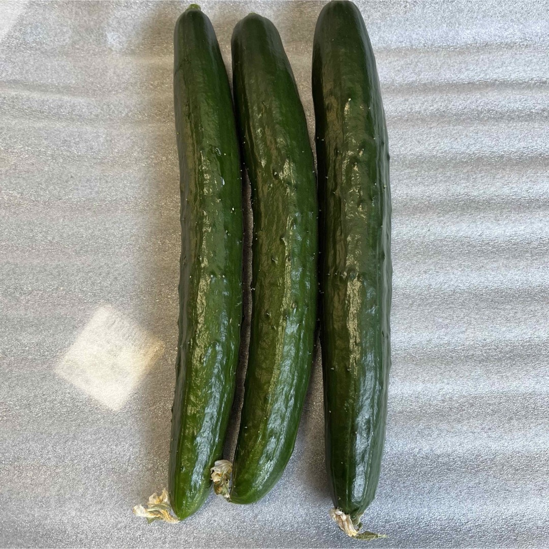 特別栽培高級米 新之助 30㌔玄米 只今胡瓜サービス中 田植え後 特別栽培高級米 新之助 30㌔玄米 只今胡瓜サービス中 田植え後