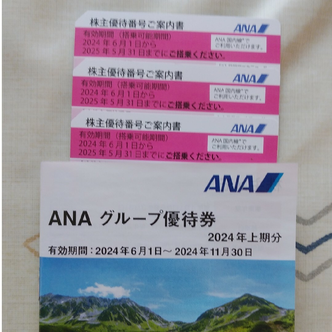 ANA(全日本空輸)(エーエヌエー(ゼンニッポンクウユ))のANA株主優待券3枚+グループ優待券 チケットの優待券/割引券(その他)の商品写真