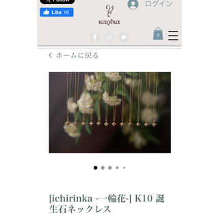 マメ(mame)のネックレス　kaoola k10 タカシマヤ　高島屋ポップアップで購入　(ネックレス)