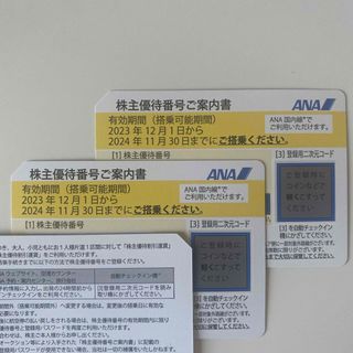 エーエヌエー(ゼンニッポンクウユ)(ANA(全日本空輸))のANA株主優待　2枚(その他)