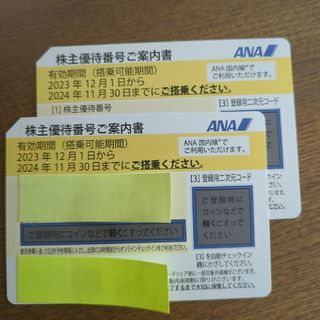 エーエヌエー(ゼンニッポンクウユ)(ANA(全日本空輸))のANA 株主優待券　２枚(その他)