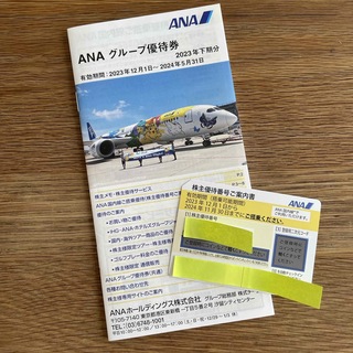 エーエヌエー(ゼンニッポンクウユ)(ANA(全日本空輸))のANA株主優待券 グループ優待券付き冊子 (その他)