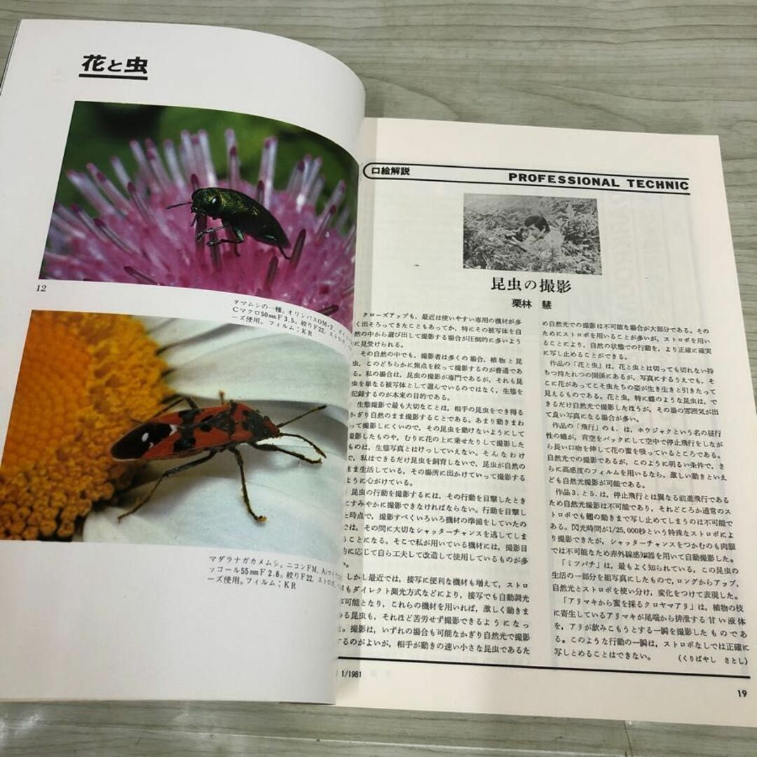 1▼ 写真工業 1981年 1月号 vol.39&amp;#160;昭和56年1月1日 発行 ダークシークレット ‘81写真工業の展望 コニカFC-1 エンタメ/ホビーの本(趣味/スポーツ/実用)の商品写真