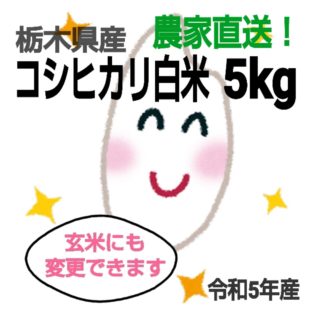 【令和5年 新米 栃木県産コシヒカリ 5kg☆白米】 食品/飲料/酒の食品(米/穀物)の商品写真