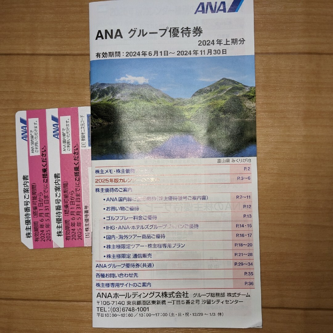 ANA(全日本空輸)(エーエヌエー(ゼンニッポンクウユ))の全日空(ANA) 株主優待券2枚セット チケットの優待券/割引券(その他)の商品写真