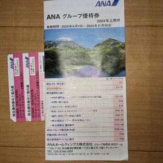 エーエヌエー(ゼンニッポンクウユ)(ANA(全日本空輸))の全日空(ANA) 株主優待券2枚セット(その他)