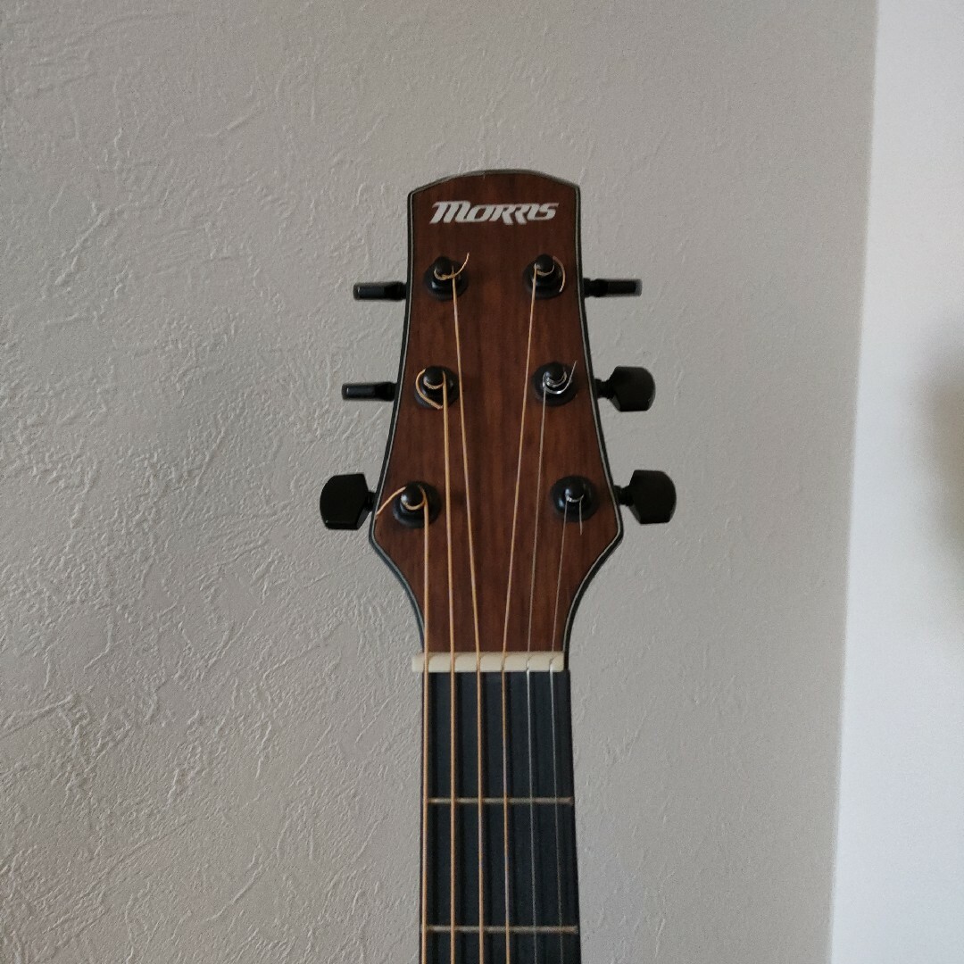 MORRIS(モーリス)の展示未使用品　モーリス Morris　アコースティックギター　M-021 VS 楽器のギター(アコースティックギター)の商品写真