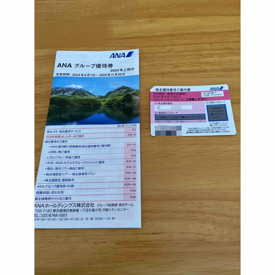 ANA(全日本空輸)(エーエヌエー(ゼンニッポンクウユ))のANA  株主優待券　 チケットの乗車券/交通券(航空券)の商品写真