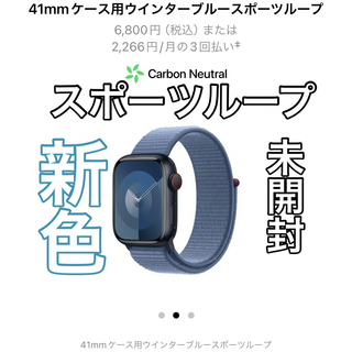 Apple - Apple Watch純正スポーツループ41mm