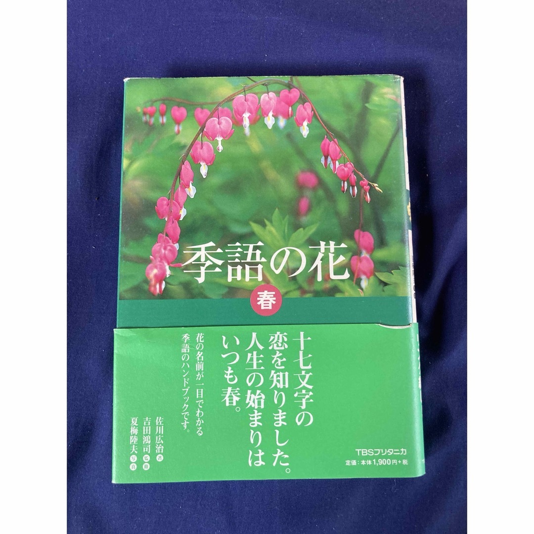 美品✨ 季語の花 春 佐川 広治; 夏梅 陸夫 エンタメ/ホビーの本(趣味/スポーツ/実用)の商品写真