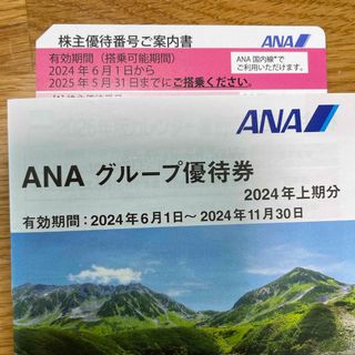 エーエヌエー(ゼンニッポンクウユ)(ANA(全日本空輸))のANA株主優待チケット(航空券)