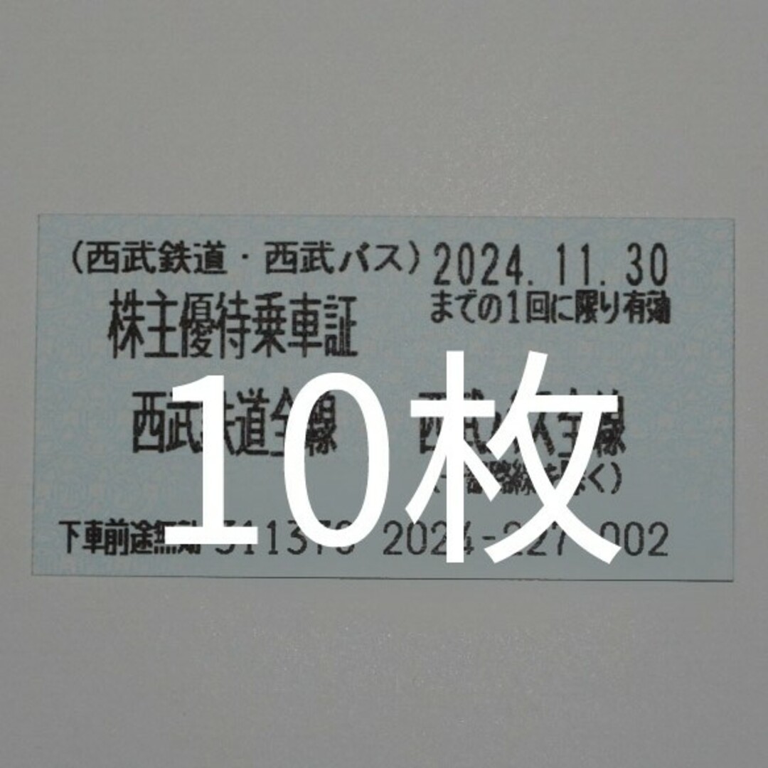 埼玉西武ライオンズ(サイタマセイブライオンズ)の西武ホールディングス株主優待1,000株セット チケットのスポーツ(野球)の商品写真