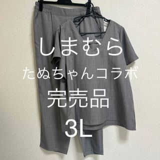 シマムラ(しまむら)のレディース上下セット　完売品3L 大きいサイズ　たぬちゃんコラボ　完売品　グレー(セット/コーデ)