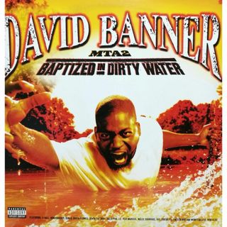 【廃盤2LP】David Banner / MTA2: Baptized In (その他)