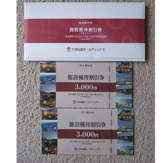 2枚✕3000円　三井松島　施設優待割引券(その他)