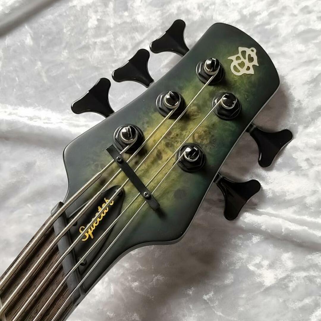 Spector（スペクター）/NS DIMENSION 5 Haunted Moss Matte 5弦 マルチスケール Fishman Fluenceピックアップ搭載 エレキベース 【中古】【USED】エレクトリック・ベース【イオンモール新利府  南館店】 楽器のベース(エレキベース)の商品写真