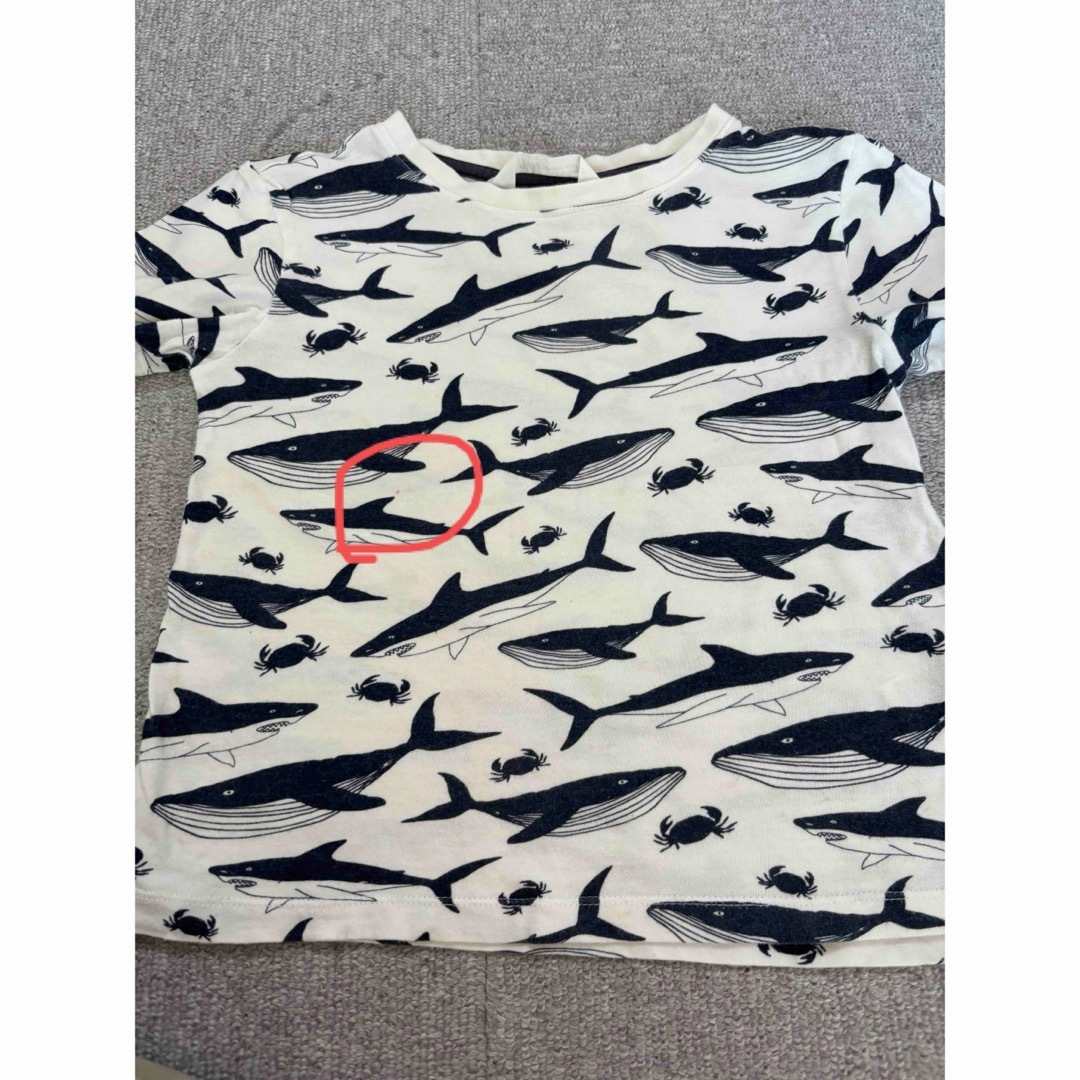H&M(エイチアンドエム)のH&M Tシャツ120 マリン キッズ/ベビー/マタニティのキッズ服男の子用(90cm~)(Tシャツ/カットソー)の商品写真