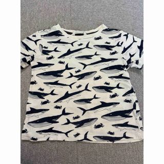 H&M - H&M Tシャツ120 マリン