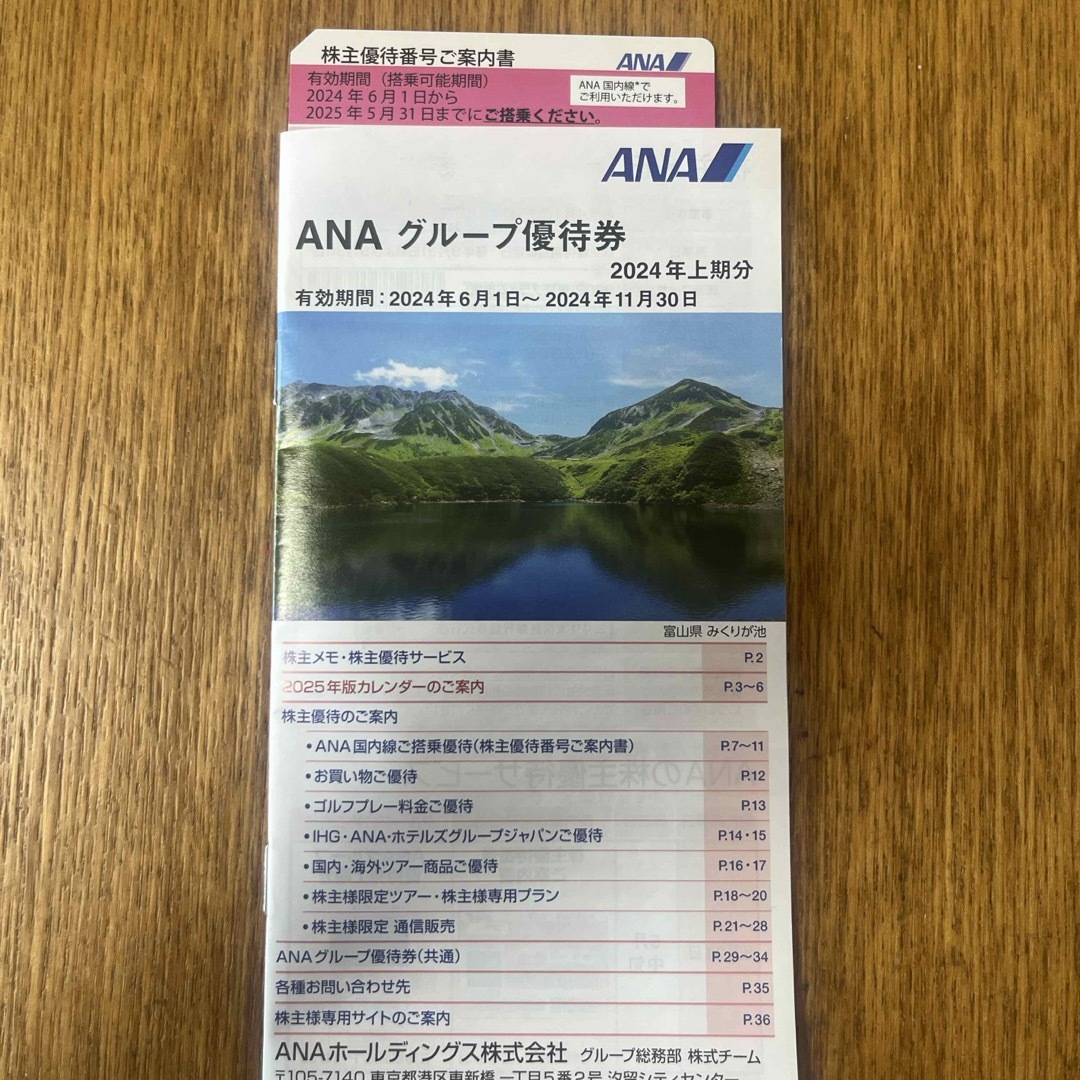 ANA(全日本空輸)(エーエヌエー(ゼンニッポンクウユ))のANA 株主優待　1枚 チケットの乗車券/交通券(航空券)の商品写真