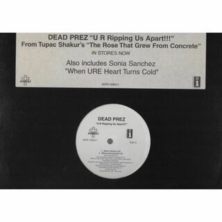 【廃盤12inch】Dead Prez / U R Ripping Us Apa(その他)