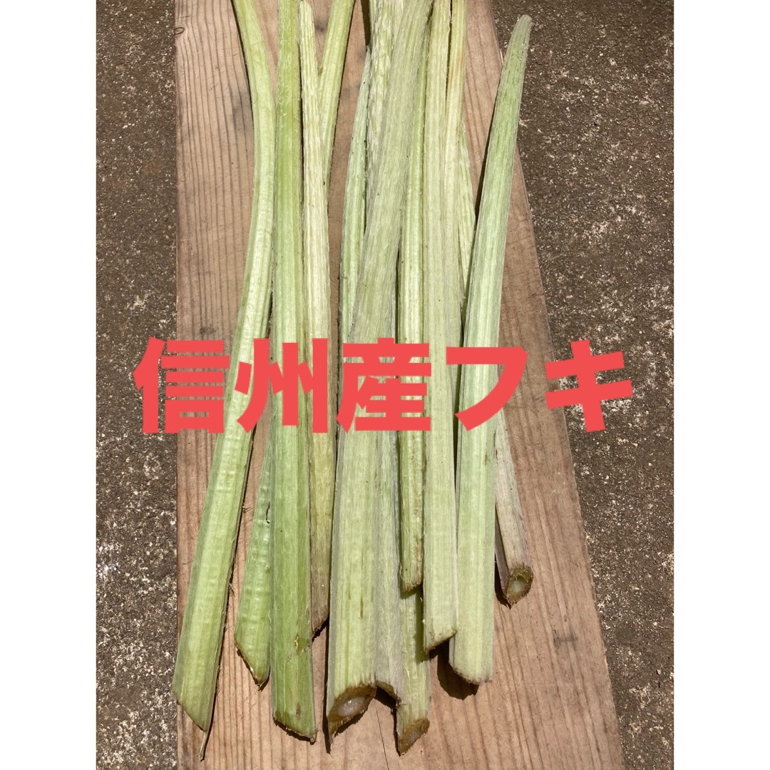 信州産 長野県産 天然ふき 無農薬 食品/飲料/酒の食品(野菜)の商品写真