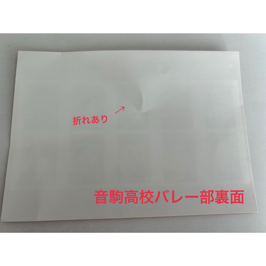 劇場版ハイキュー！！ゴミ捨て場の決戦　選手名鑑風プロマイド エンタメ/ホビーの本(アート/エンタメ)の商品写真