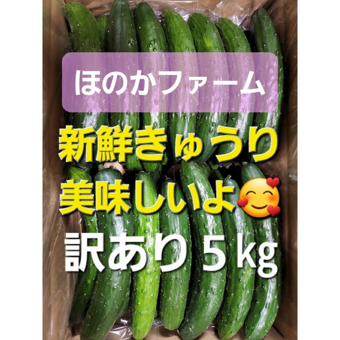 【訳ありきゅうり】農家直送！新鮮キュウリ5㎏ 食品/飲料/酒の食品(野菜)の商品写真