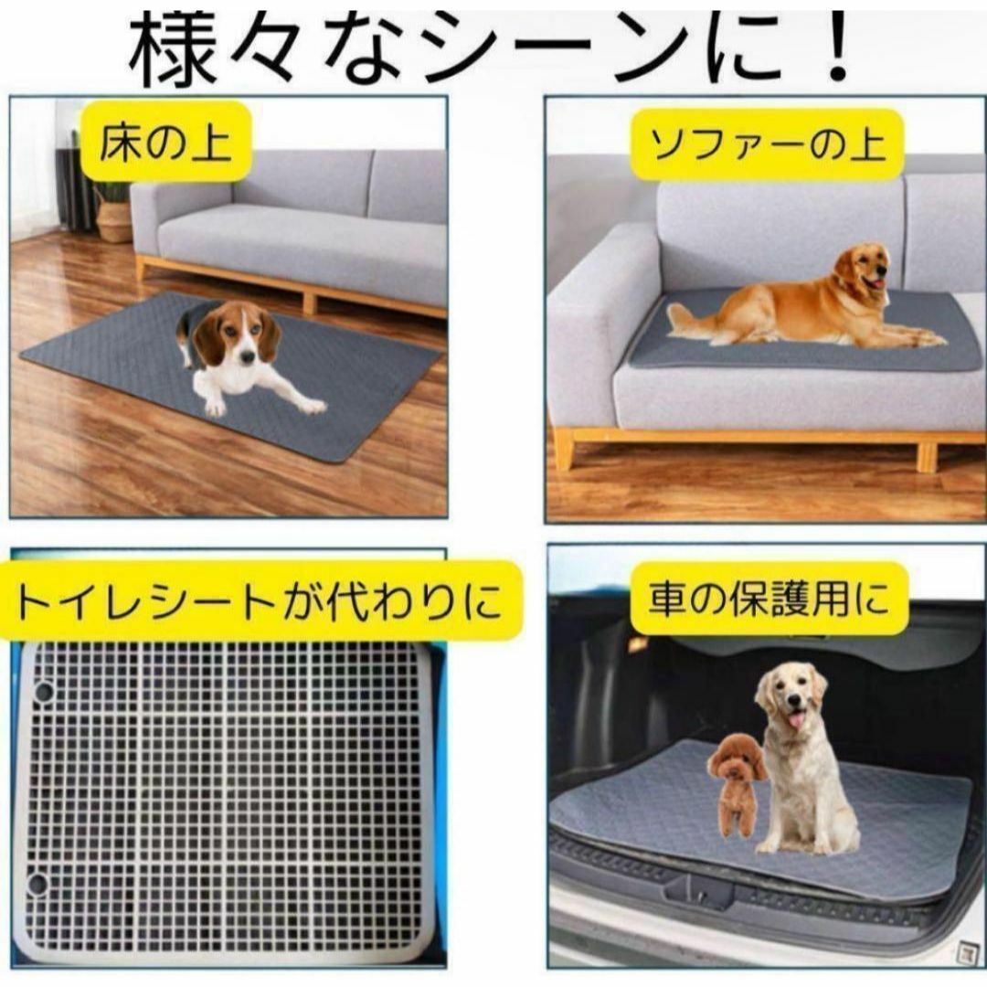 ペットシート ペットマット 吸水マット トイレシート　ペット 犬 洗濯可 ネコ その他のペット用品(犬)の商品写真