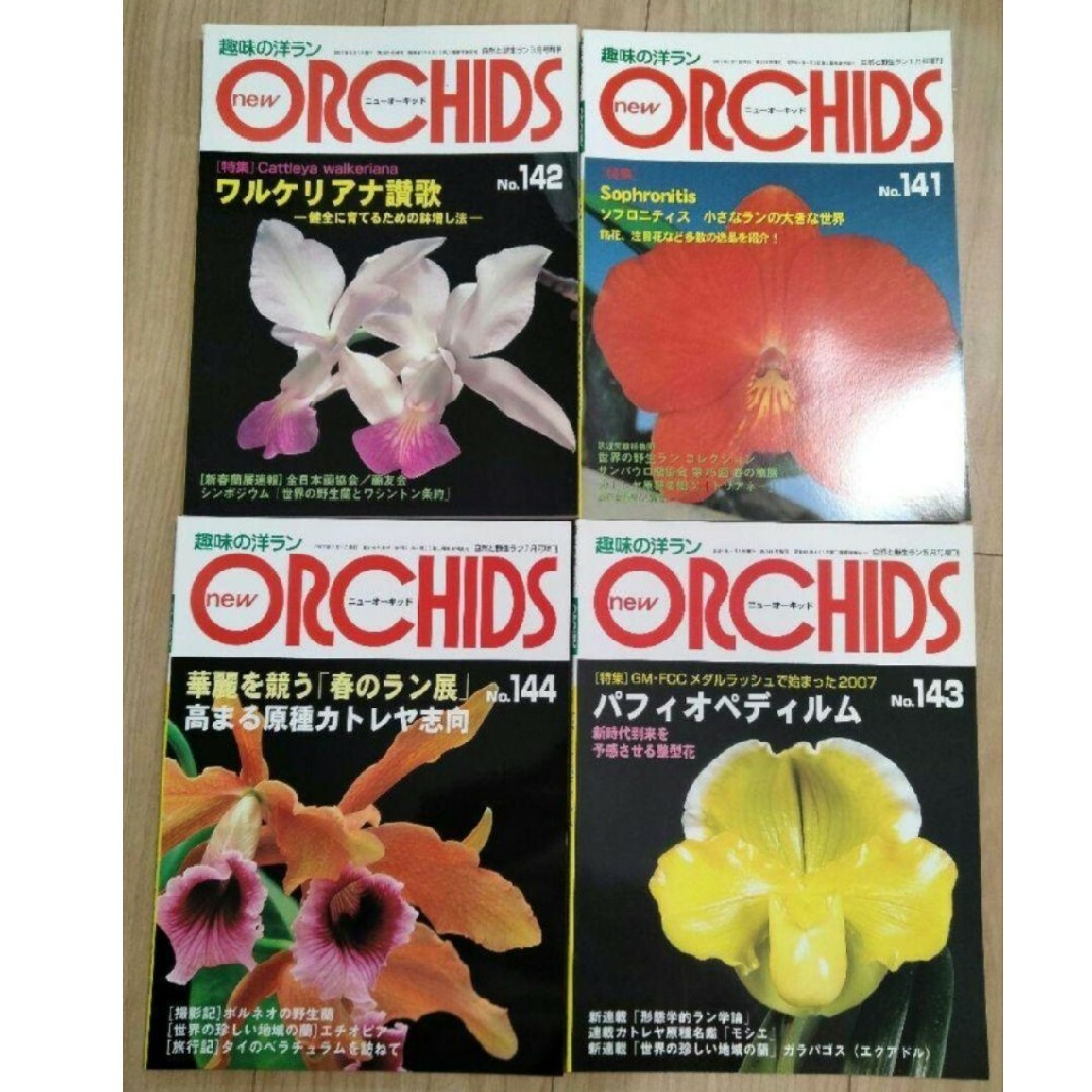 趣味の洋ラン　 ニューオーキッド　No141 142 143 144　4冊 エンタメ/ホビーの雑誌(専門誌)の商品写真