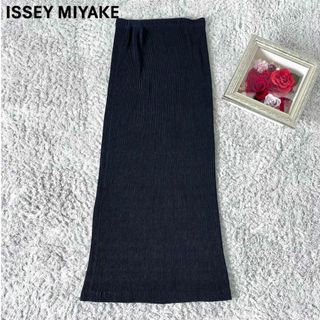 イッセイミヤケ(ISSEY MIYAKE)の【美品】イッセイミヤケ プリーツ ロングスカート プリーツ マキシ丈 チャコール(ロングスカート)