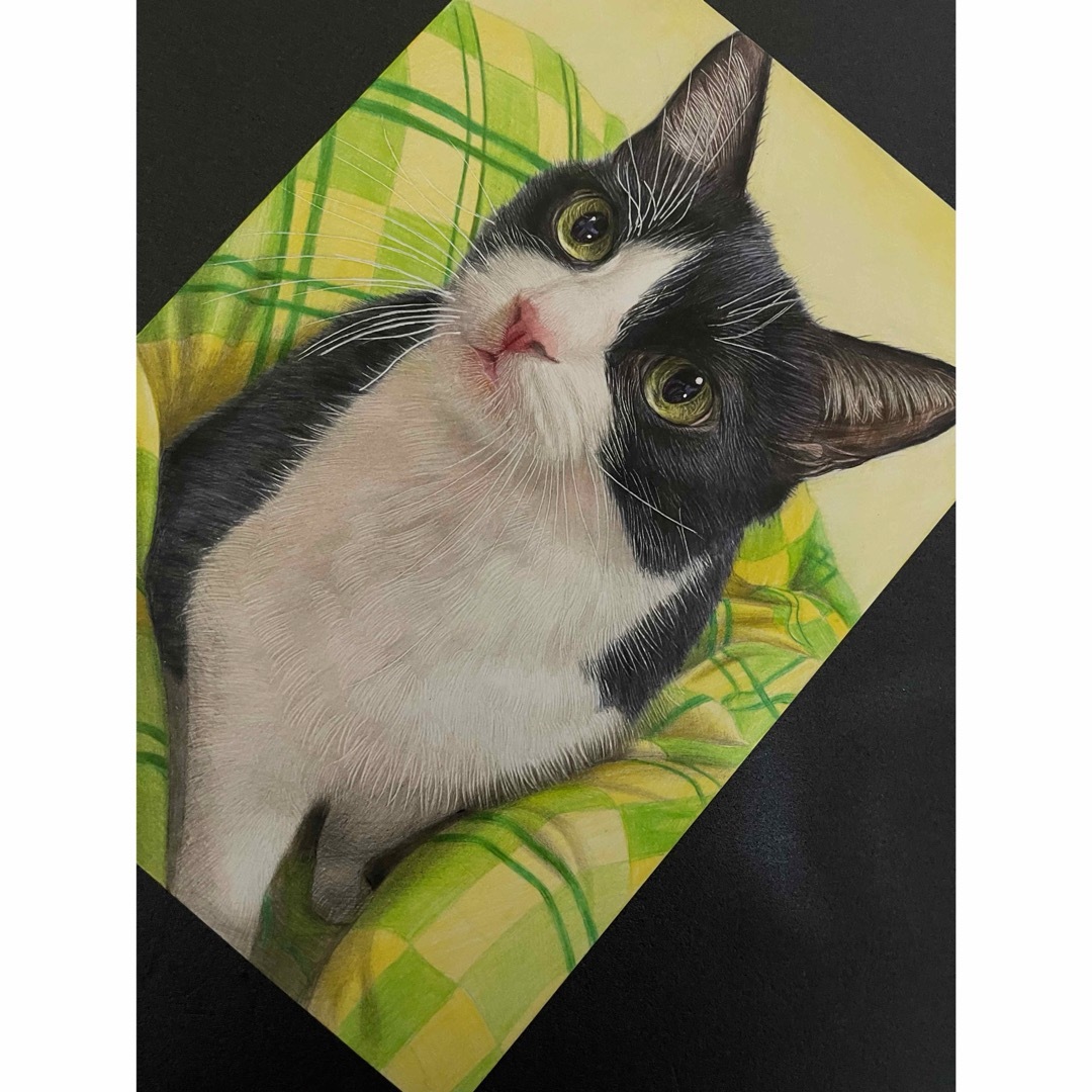 色鉛筆画 A4.ハチワレ猫 113 エンタメ/ホビーの美術品/アンティーク(絵画/タペストリー)の商品写真