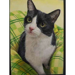 色鉛筆画 A4.ハチワレ猫 113(絵画/タペストリー)