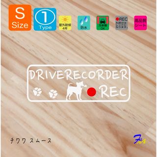 チワワ スムース ドラレコステッカー  01 Sサイズ ドライブレコーダー(犬)