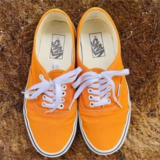 ヴァンズ(VANS)のVANS AUTHENTIC　DESERT SUN/WHT(スニーカー)