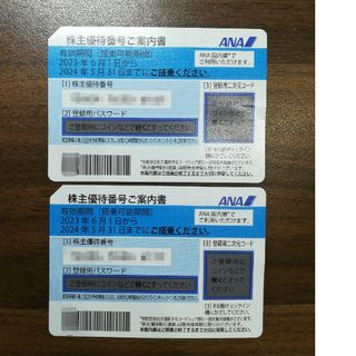 エーエヌエー(ゼンニッポンクウユ)(ANA(全日本空輸))のANA 株主優待券 2枚(その他)