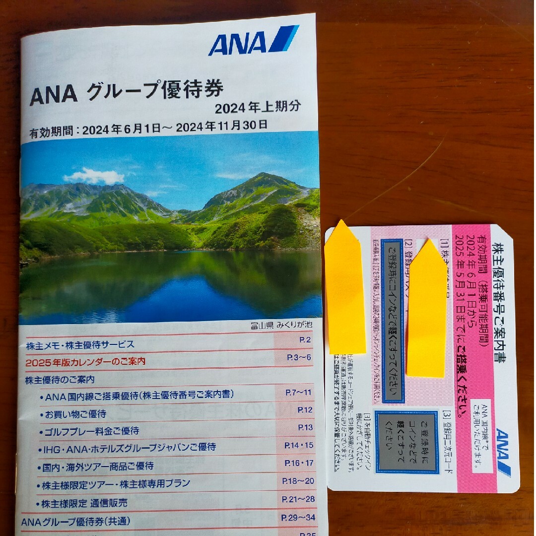 ANA(全日本空輸)(エーエヌエー(ゼンニッポンクウユ))のANAの株主優待　1枚 チケットの優待券/割引券(その他)の商品写真