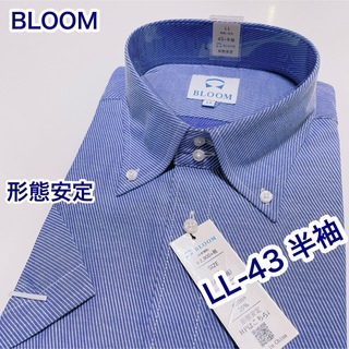 ブルーム(BLOOM)のBLOOM 形態安定　ボタンダウン　半袖ワイシャツ　LL-43(シャツ)